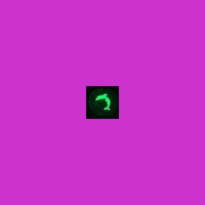 Dolphin
